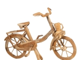 Solex_Fiets_Teakhout