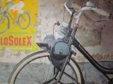 losolex