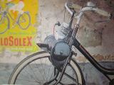 losolex