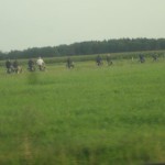 tnDSC03635